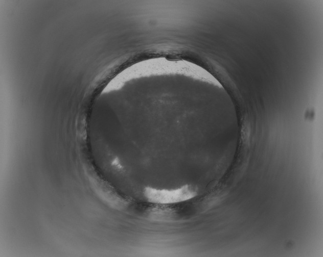 X0000113850403200910221423