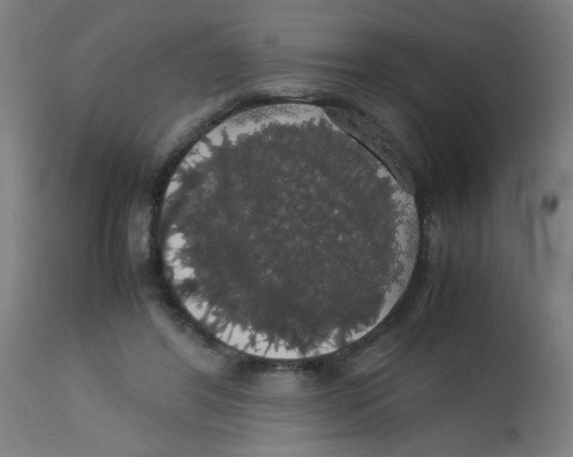 X0000113850404200910221423