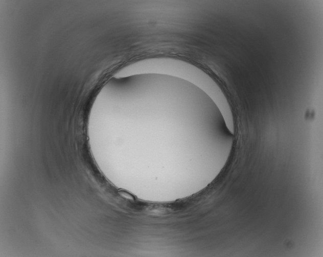 X0000113850407200910221423