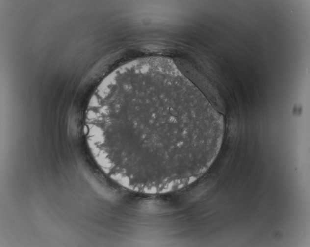 X0000113850408200910221423