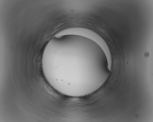 X0000113850409200910221423