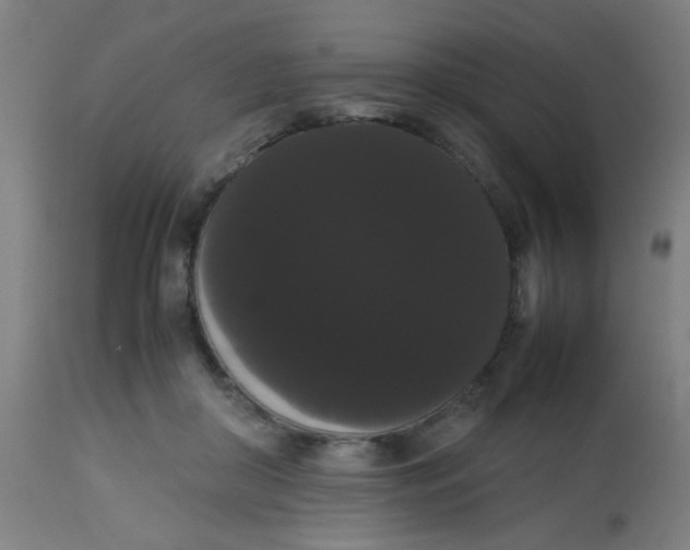 X0000113850410200910221423