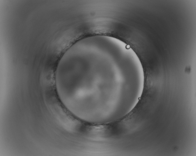 X0000113850411200910221423