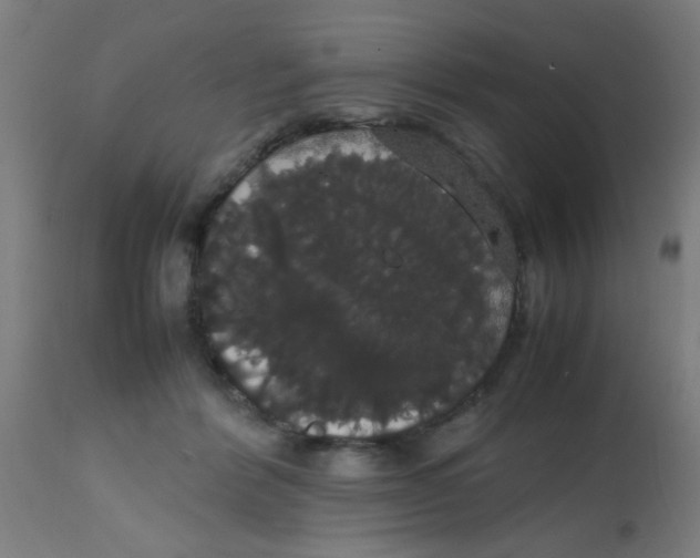 X0000113850412200910221423