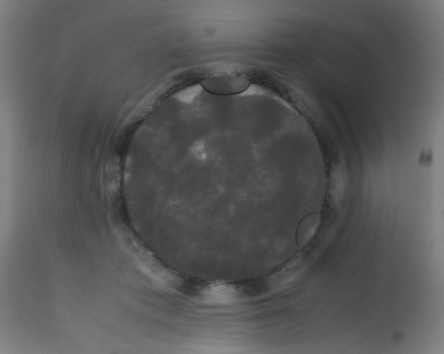 X0000113850413200910221423