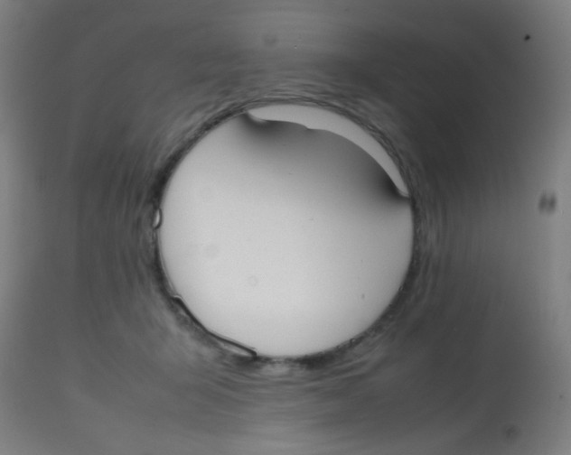 X0000113850415200910221423