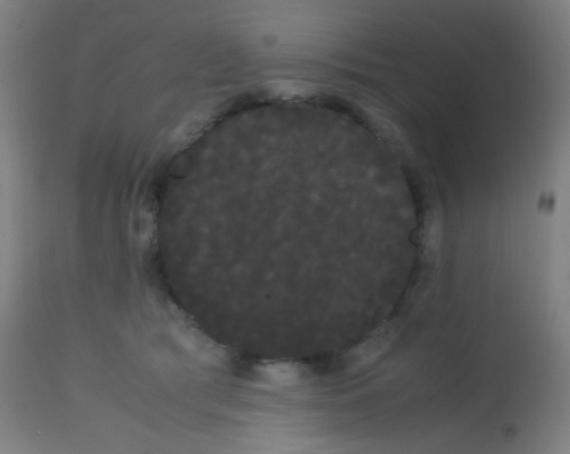 X0000113850417200910221423