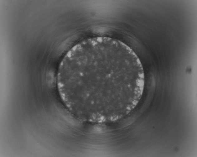 X0000113850420200910221423