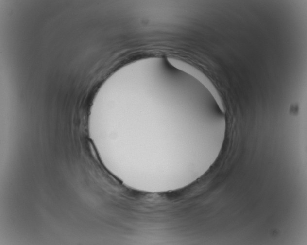 X0000113850421200910221423