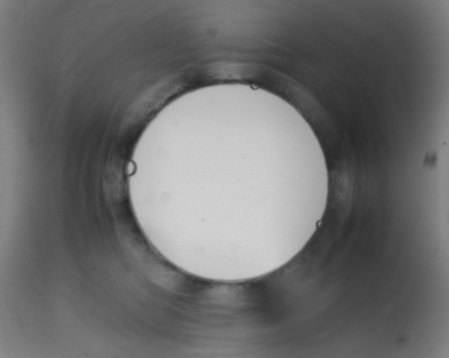 X0000113850422200910221423