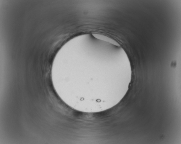 X0000113850423200910221423