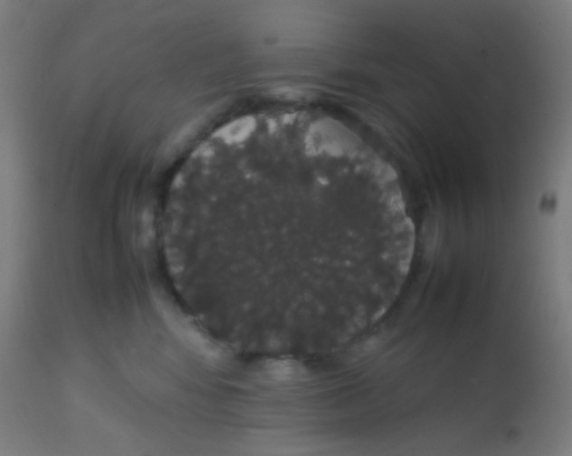 X0000113850424200910221423