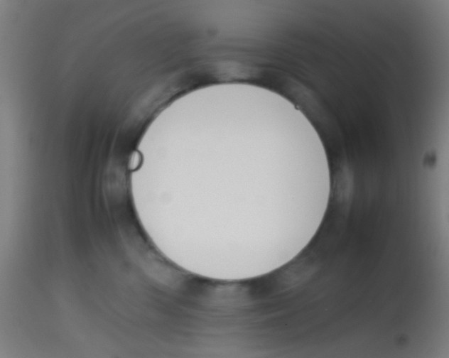 X0000113850426200910221423