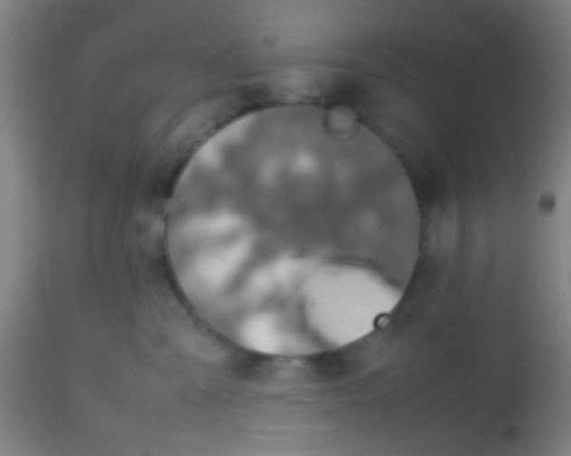 X0000113850427200910221423