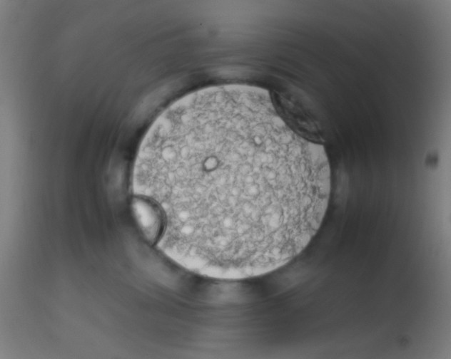 X0000113850428200910221423