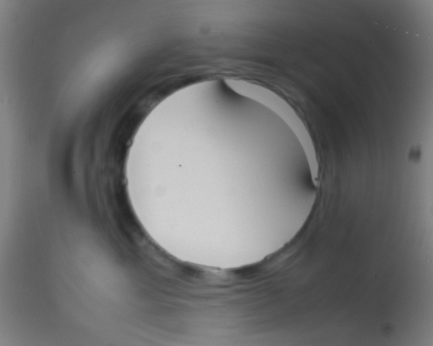 X0000113850429200910221423