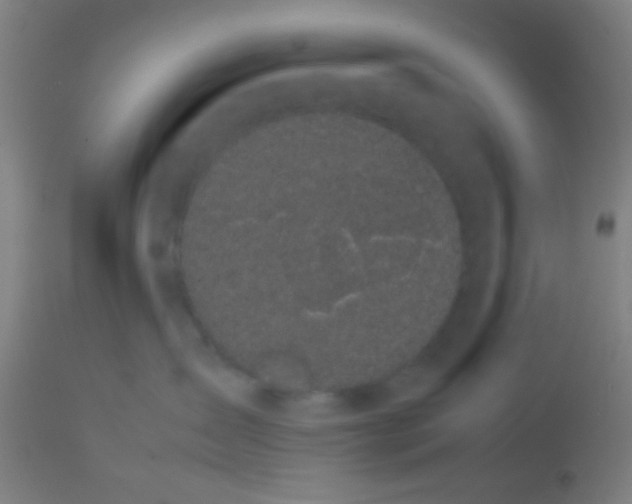 X0000113850431200910221423