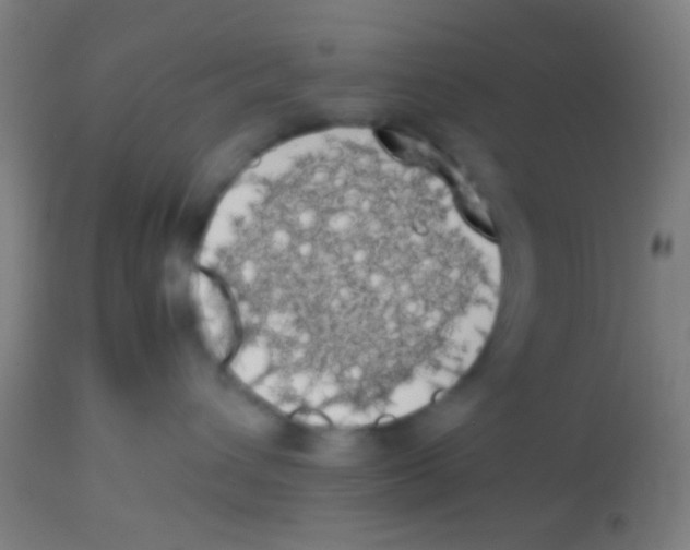 X0000113850432200910221423