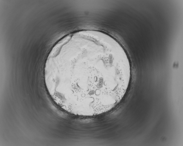 X0000113850433200910221422