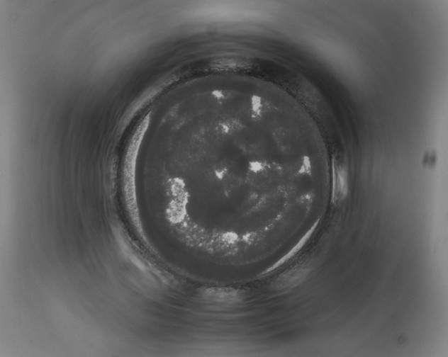 X0000113850435200910221422