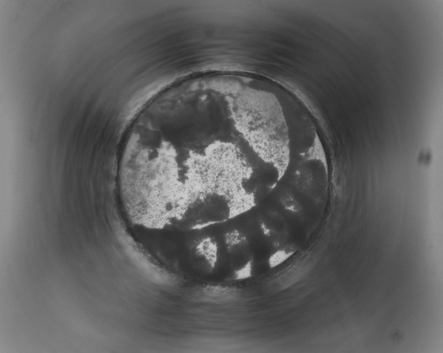 X0000113850437200910221422