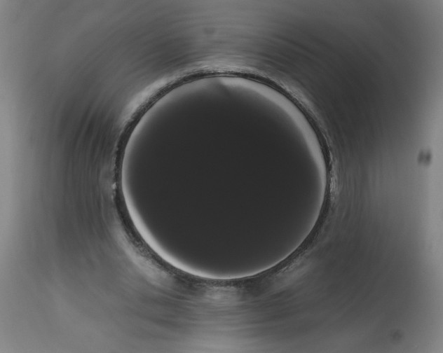 X0000113850438200910221422