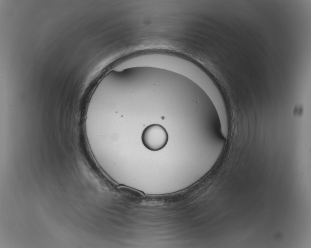 X0000113850440200910221422