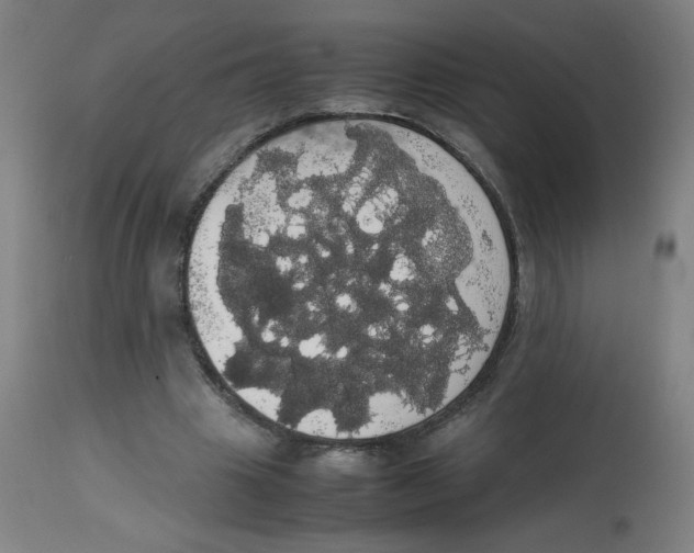 X0000113850441200910221422