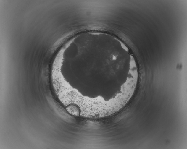 X0000113850442200910221423