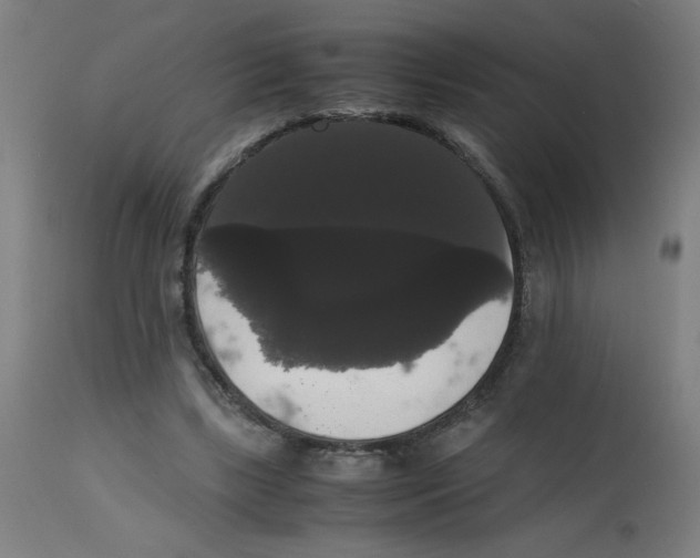 X0000113850443200910221423