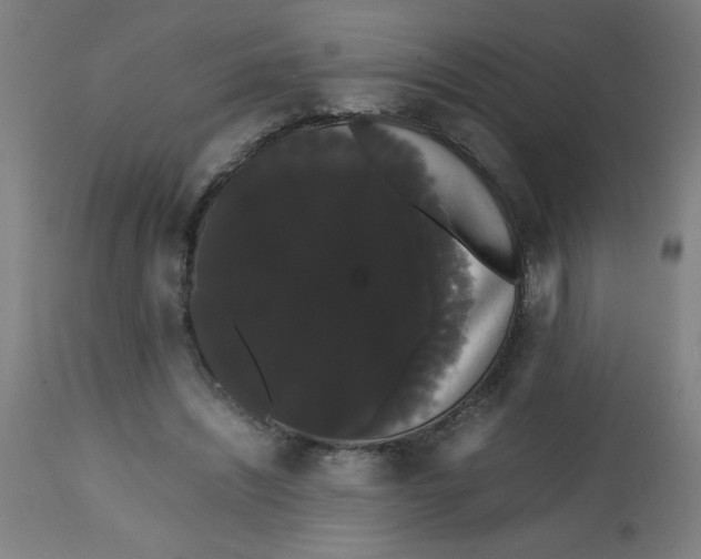 X0000113850444200910221423