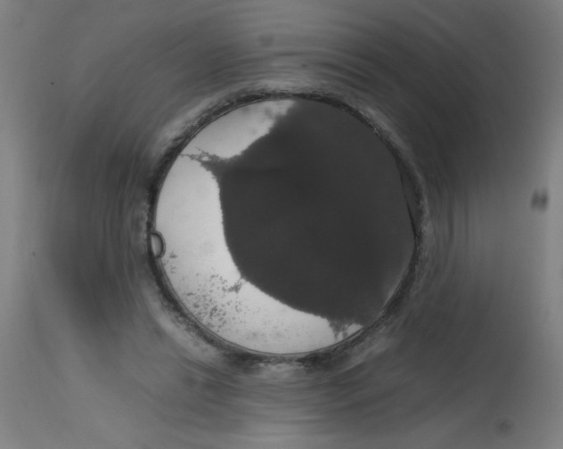 X0000113850446200910221423