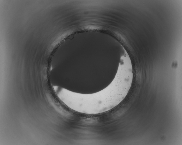 X0000113850447200910221423