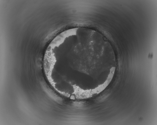 X0000113850450200910221423