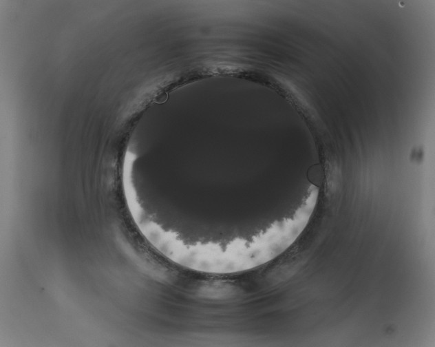 X0000113850451200910221423