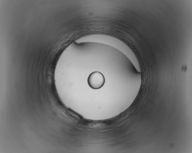 X0000113850452200910221423