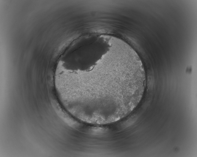 X0000113850453200910221423