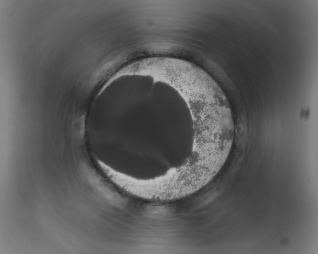 X0000113850454200910221423