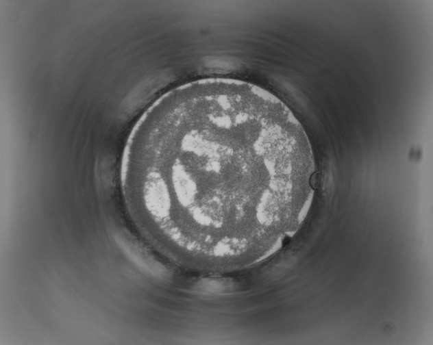 X0000113850455200910221423