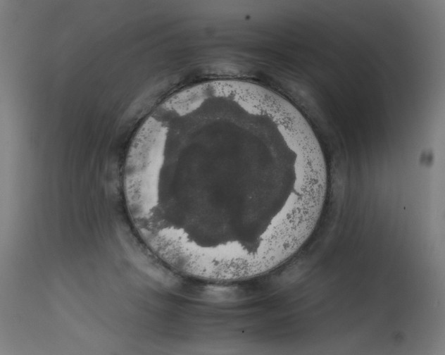 X0000113850457200910221423