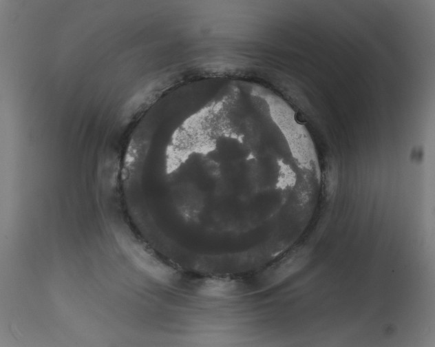 X0000113850458200910221423