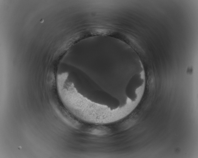 X0000113850459200910221423