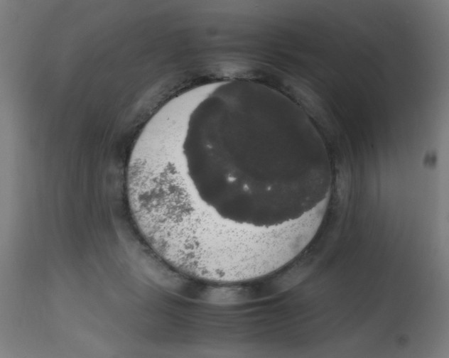 X0000113850461200910221423