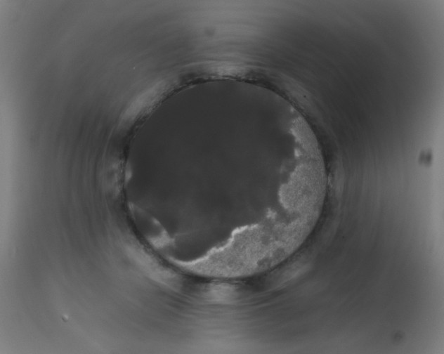 X0000113850462200910221423