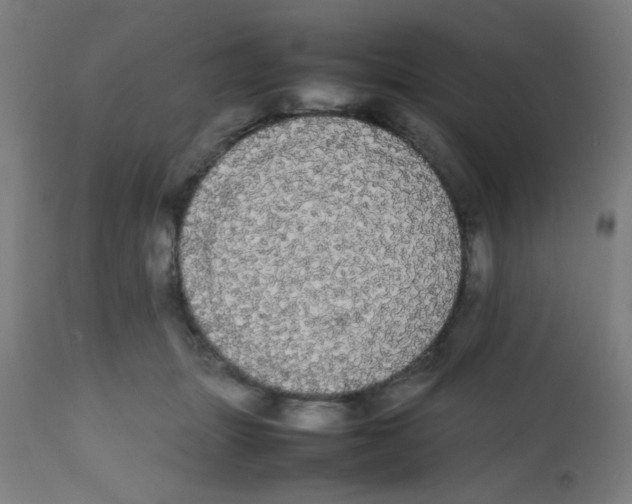 X0000113850463200910221423