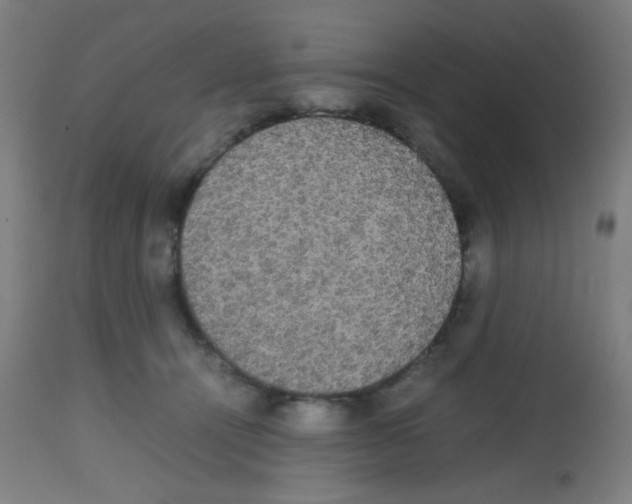 X0000113850464200910221423