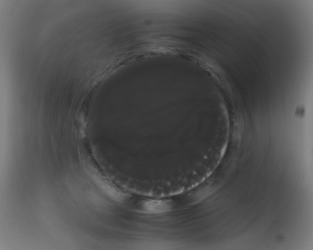 X0000113850465200910221423