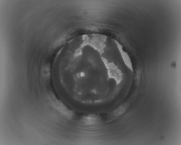 X0000113850466200910221423