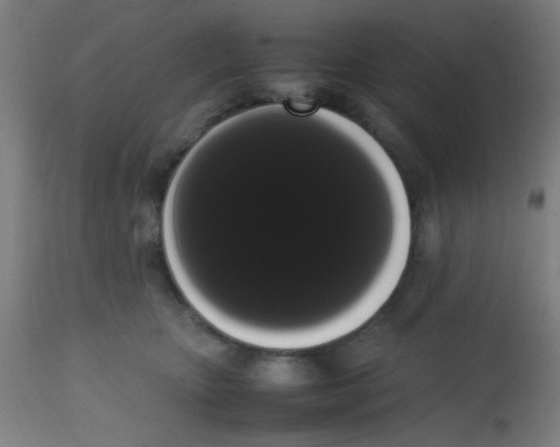 X0000113850467200910221423