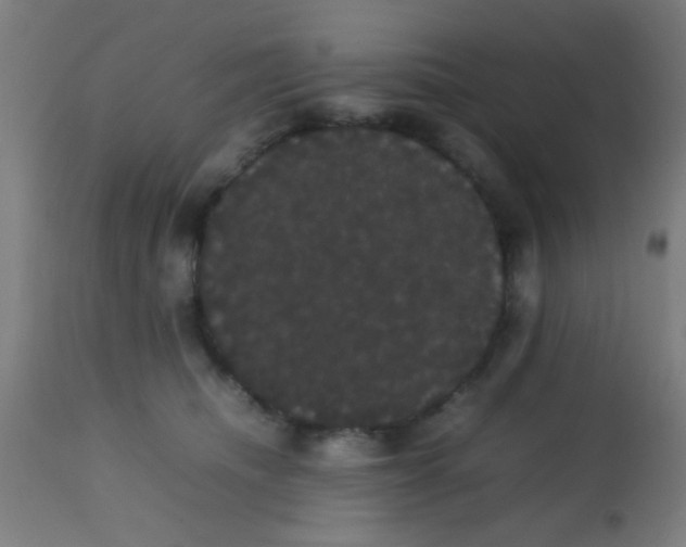 X0000113850468200910221423